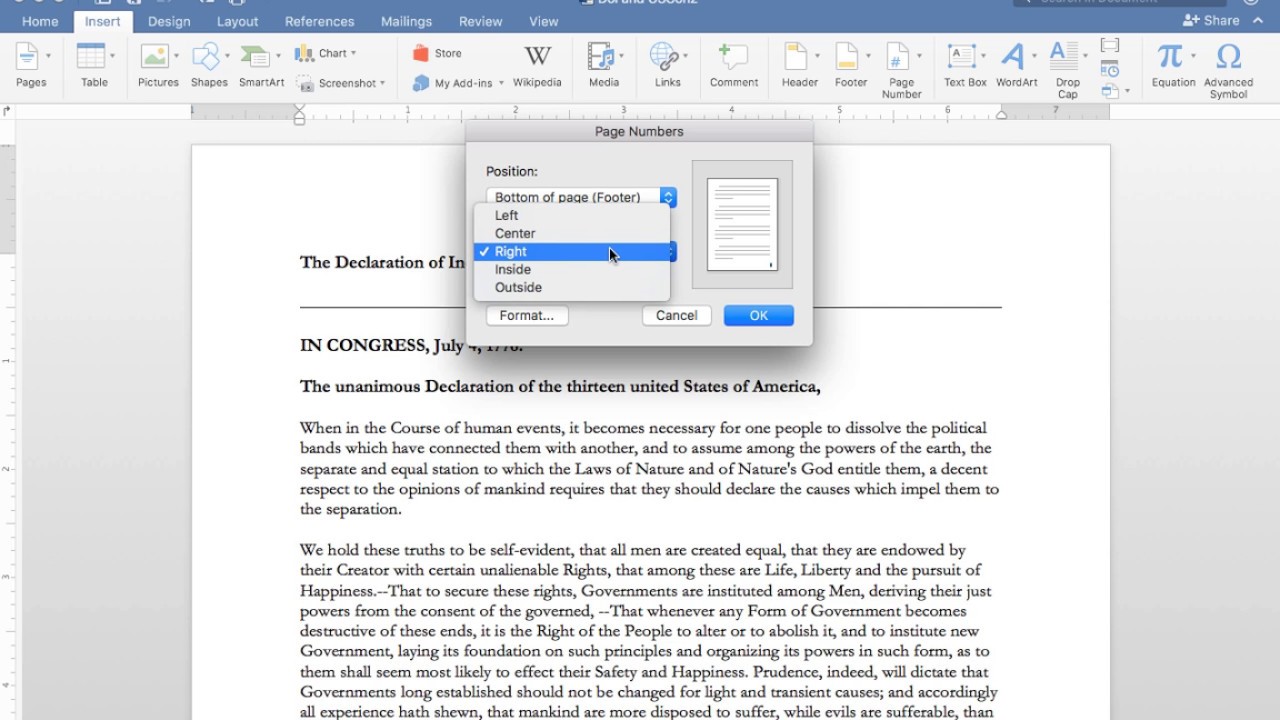 get rid of a singel page in microsoft work 2011 for mac